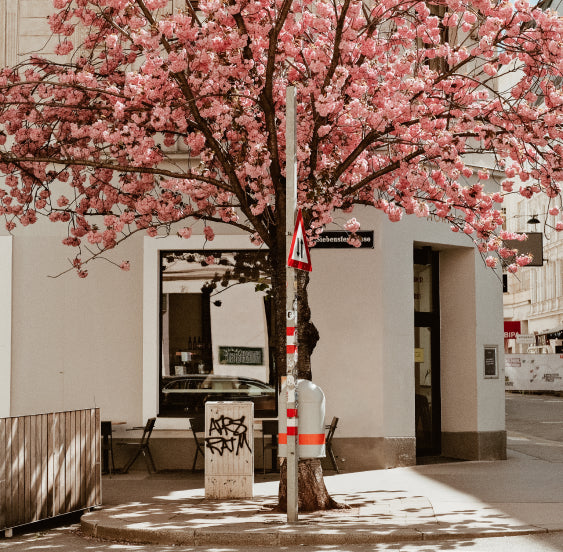 Wo Kaffeegenuss zuhause ist
